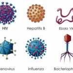 Sejarah Virus Singkat, serta Ciri dan Struktur Morfologi Virus Bakteriofage