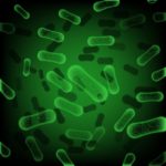 Pengertian Archaebacteria Adalah: Pembahasan Bakteri, Contoh, Ciri, dan Klasifikasinya