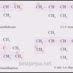 Senyawa Hidrokarbon Jenuh dan Senyawa Hidrokarbon Tak Jenuh
